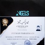 پیمان یاراحمدی