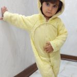 آنیکا امینی