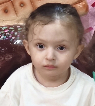 امیرعلی