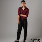 محمد فریدونی